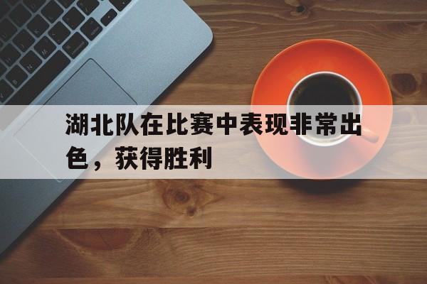 关于湖北队在比赛中表现非常出色，获得胜利的信息